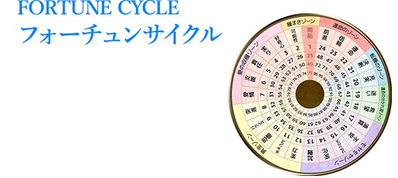 FORTUNE CYCLE フォーチュンサイクル